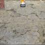 Zurassic Green Granite